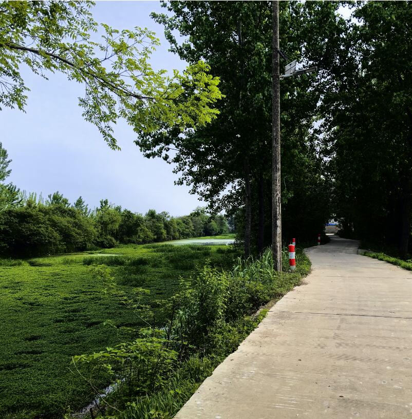 17137498895232.jpg 222222.jpg